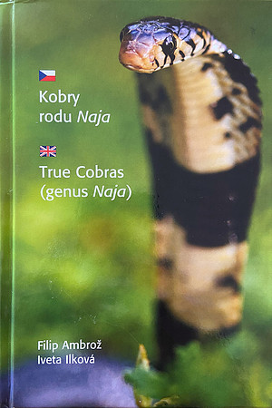 True Cobras (Genus Naja)