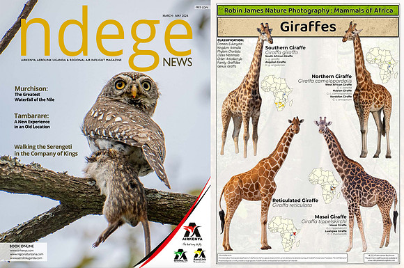 Ndege News