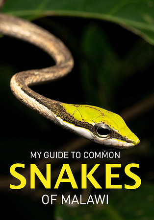My Guide to common snakes of Malawi Cover