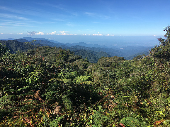 Gunung Jasar View