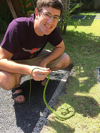 Robin James and Asian vine snake (Ahaeulla prasina)