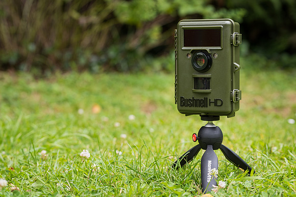 Bushnell NatureView HD Trail Camera