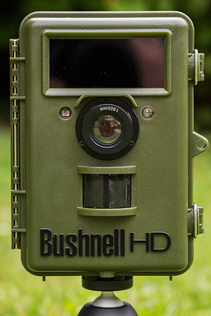 Bushnell NatureView HD Trail Camera