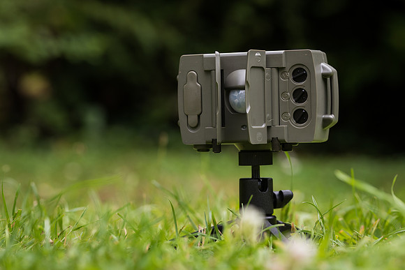 Camtraptions PIR sensor